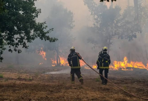 LES INCENDIES EN FRANCE : UN REGARD AZERBAÏDJANAIS