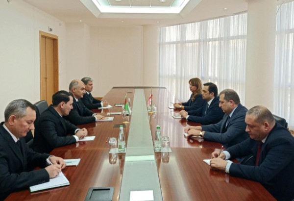 LE TURKMÉNISTAN ET LA GÉORGIE DISCUTENT DES PERSPECTIVES DE COOPÉRATION BILATÉRALE